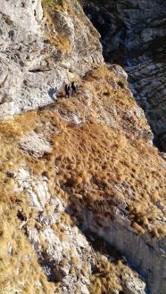 img_20161210_125340953