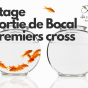 Stage sortie de Bocal / Premiers cross à&nbsp;St-Hil