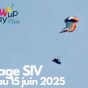 Retour sur le stage SIV du 13 au 15 juin 2025